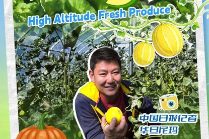 Team plants new farming model