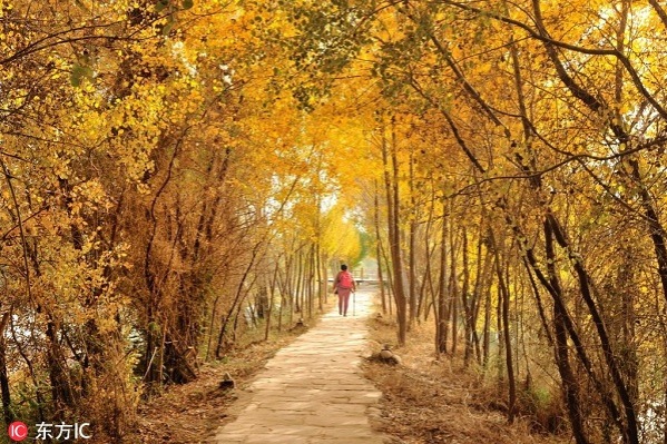 Jinhuyang National Forest Park, Kashgar