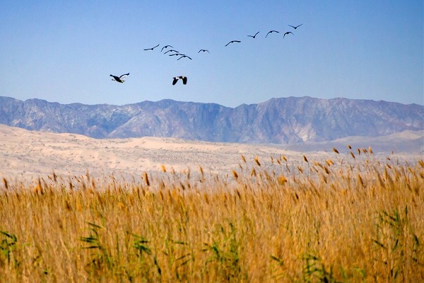 Bosten Lake, Bayingolin Mongol autonomous prefecture