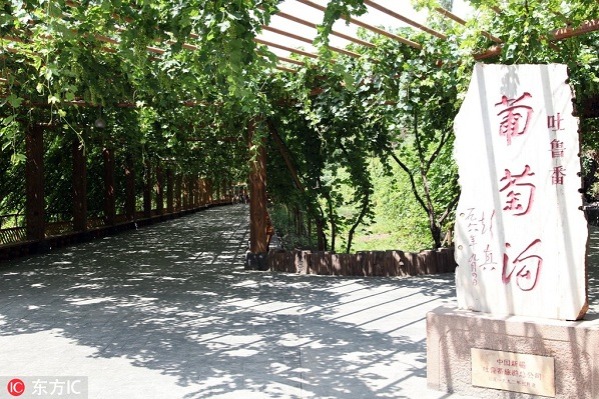 Grape Valley, Turpan