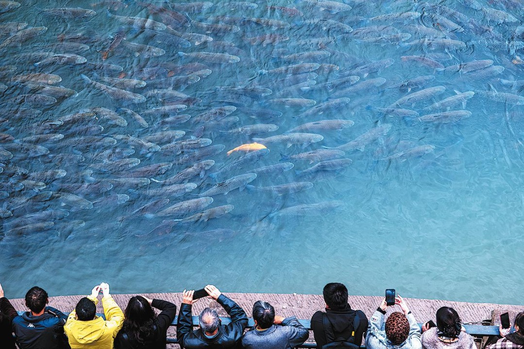 Fishing ban helps boost biodiversity