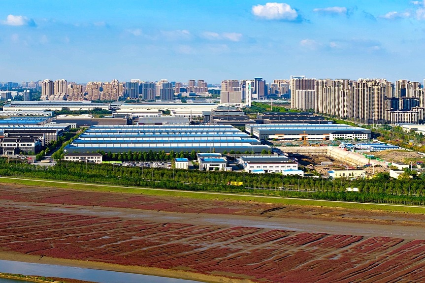 SCO nations' products gain better access to market