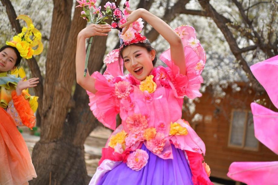 Pear Blossom Festival blooms along Yellow River in Ningxia