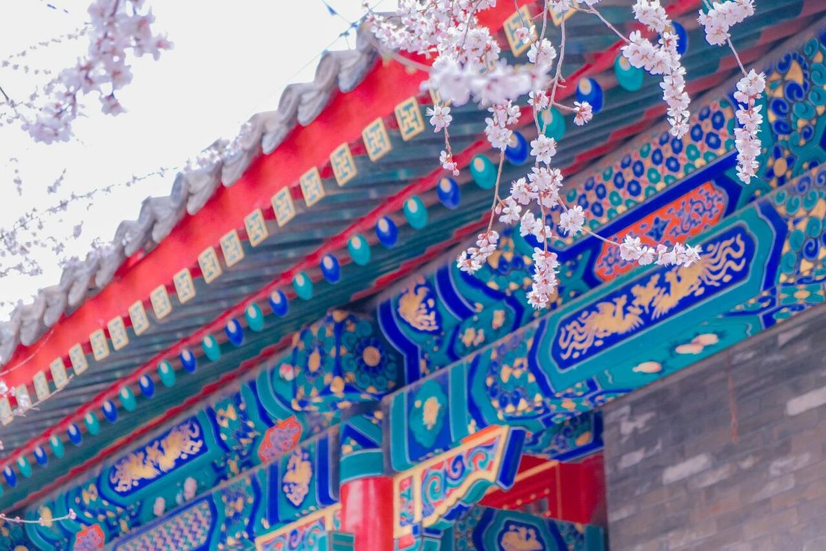 Hohhot's cultural museums launch Qingming Festival activities