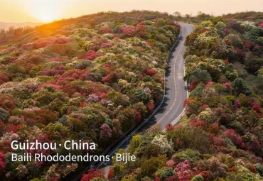 Springtime in Guizhou: Nature's masterpiece, culture's home