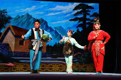 Thirty-six rare opera genres take the stage at Shandong exhibition