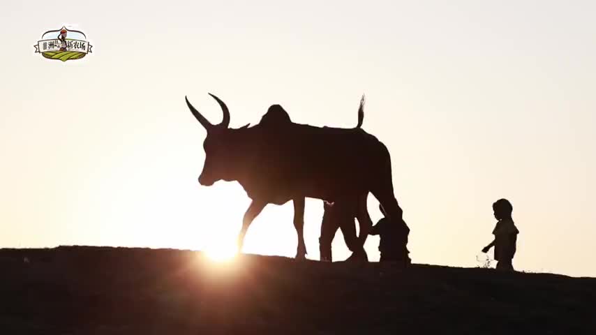 Small and Beautiful | African Mothers' New Farms