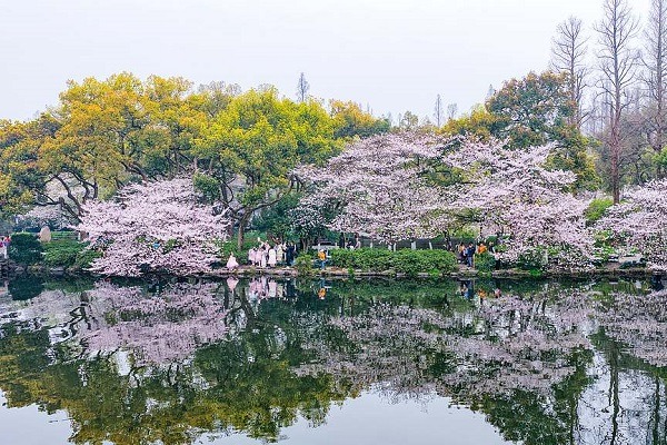UN honors Hangzhou for advancing sustainable waste management