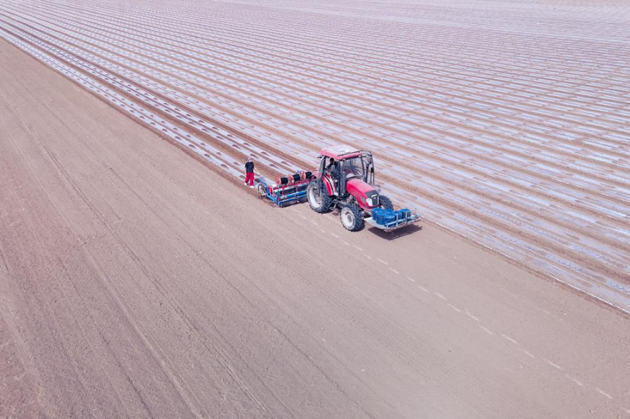 Beidou-guided seeders boost cotton sowing in Xinjiang's Artux