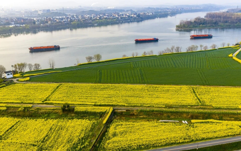 Zhejiang logistics cost ratio falls to record low