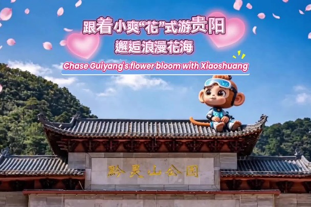 Video: Chase Guiyang's flower bloom with Xiaoshuang