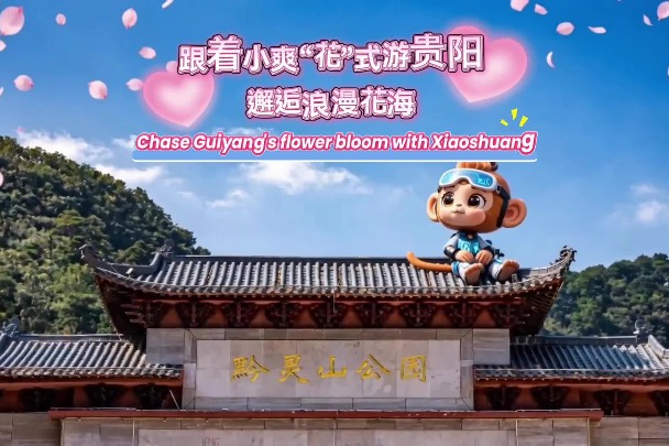 Video: Chase Guiyang's flower bloom with Xiaoshuang