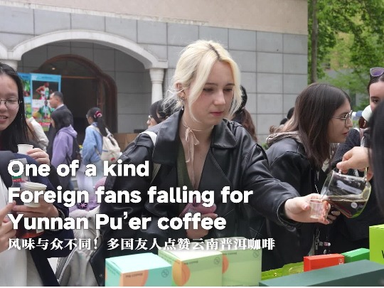One of a kind! Foreign fans falling for Yunnan Pu’er coffee