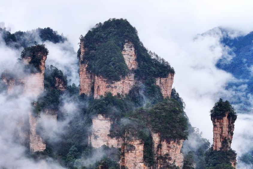 Sea of clouds drape Zhangjiajie's peaks in misty splendor