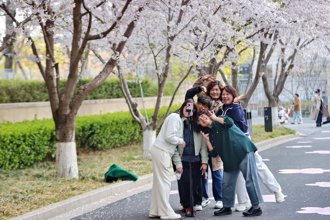Tourists flock to blooming Qinhuangdao
