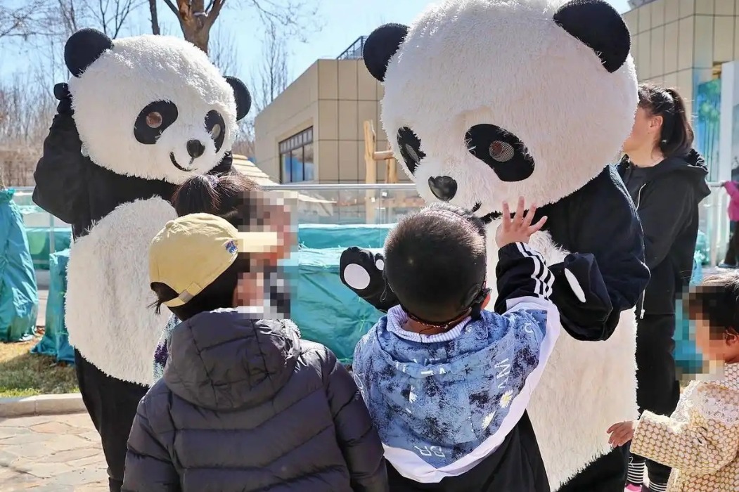 Qinhuangdao panda-themed healing base offers therapy for autistic kids