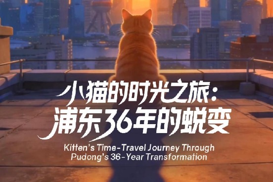 Kitten's time-travel journey through Pudong's 36-year transformation