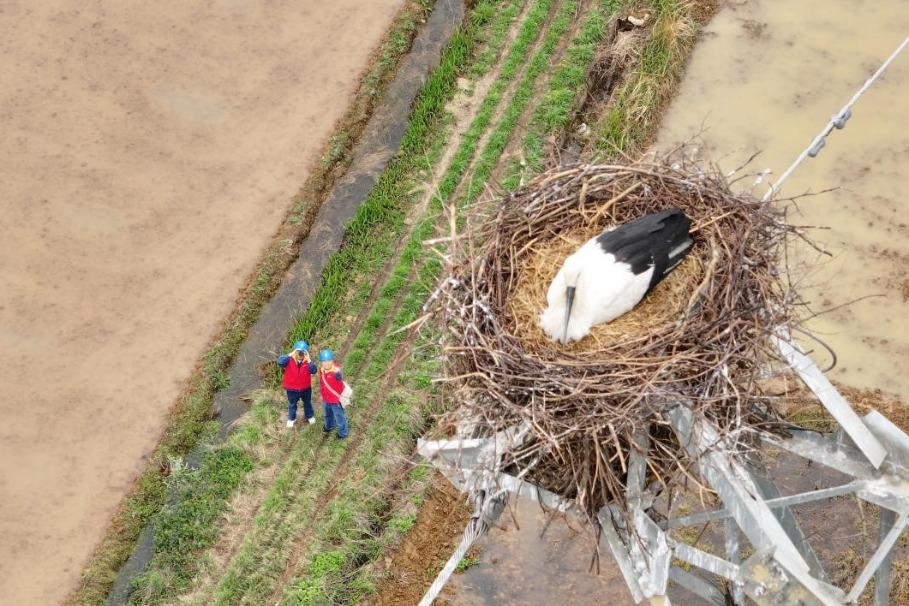 State Grid Jiangxi Electric Power launches 'Migratory Bird Lifeline'