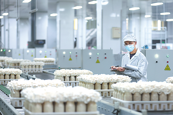 Intelligent agriculture mushrooms in Chengdu