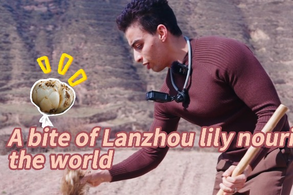 A bite of Lanzhou lily nourishing the world
