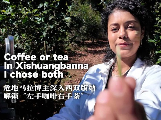 Coffee or tea? In Xishuangbanna, I chose both
