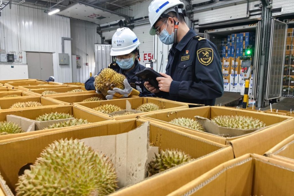 Guangzhou port clears 6,300 tons of durian ahead of May Day