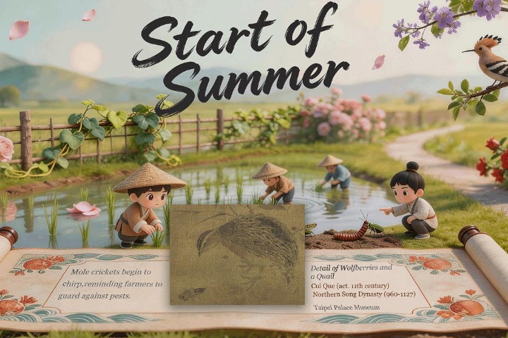 Unveiling the cultural tapestry of the 24 solar terms: Start of Summer