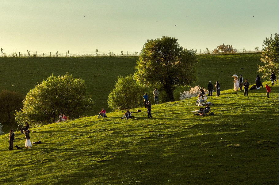 Wild apple trees create a poetic spring landscape in Xinjiang