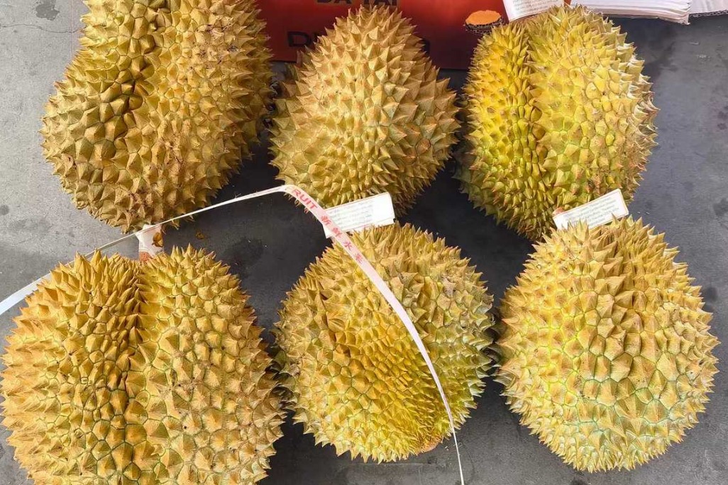 Thai durians reach China faster and cheaper via China-Laos Railway