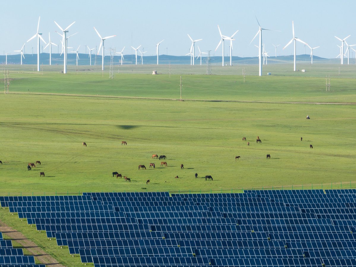 Inner Mongolia to focus on making energy supply greener, more efficient
