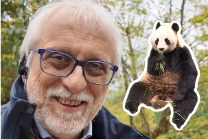 Italian Expert Praises China's Panda Conservation