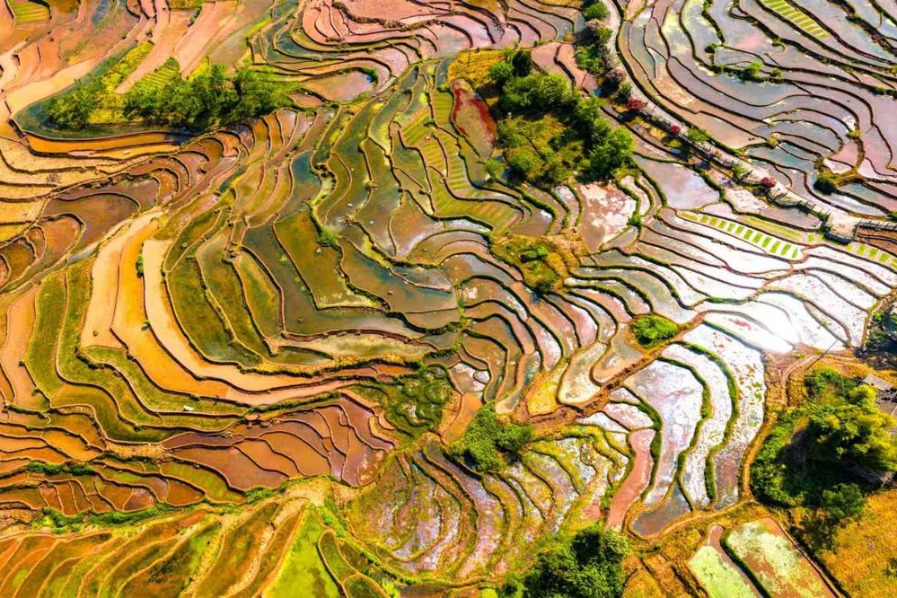 Terraced fields offer picturesque scenery in Yunnan