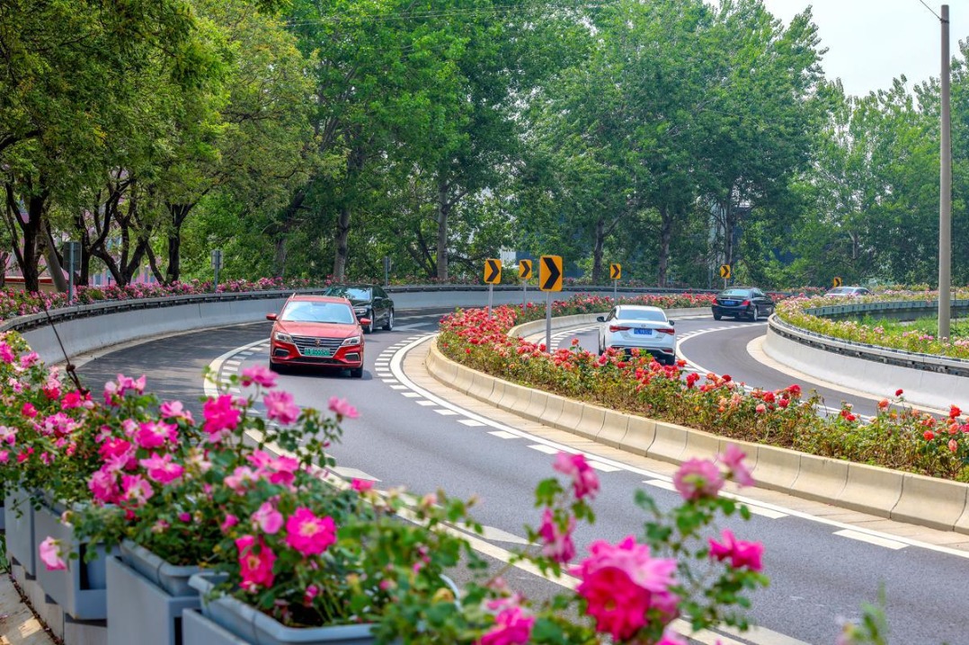 Beijing ring road to resemble a rose garden