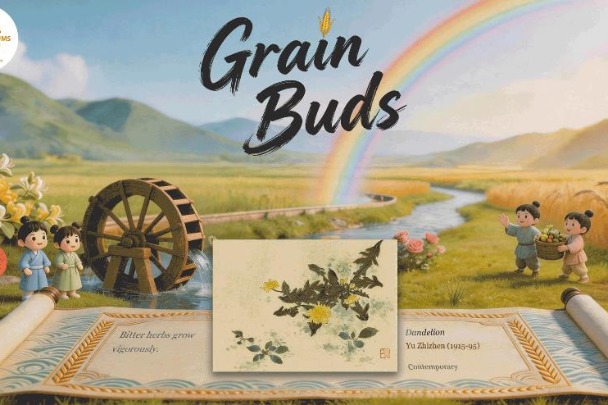 Unveiling the cultural tapestry of the 24 solar terms: Grain Buds