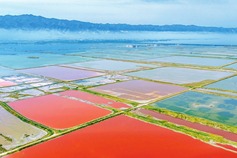 Yuncheng Salt Lake enters peak viewing season