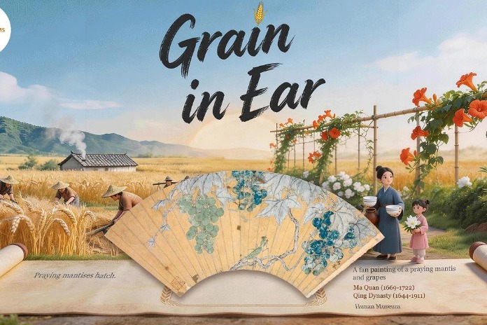 Unveiling the cultural tapestry of the 24 solar terms: Grain in Ear