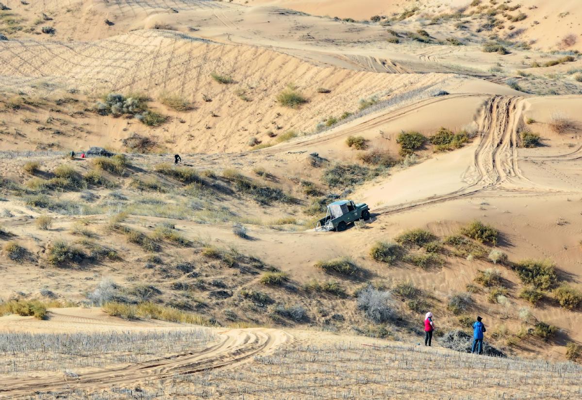 Desert fighter reunites online with US friend