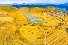 Shanxi promotes integration of agriculture, culture, and tourism
