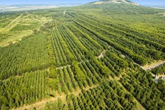 Former barren county becomes beacon of green economy