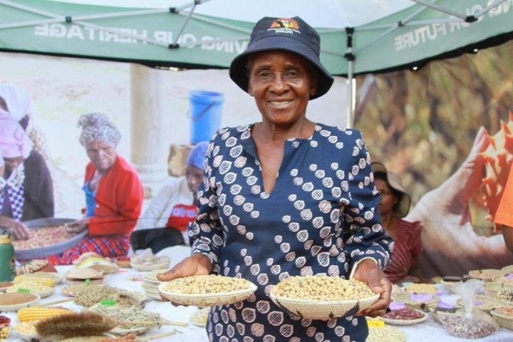 China expands market access for African cashew nuts