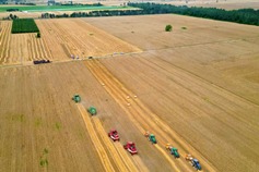 Wanrong sees bountiful wheat harvest