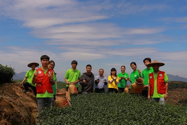 A Nepali scholar's tea journey in Pinghe county: Where tradition meets innovation