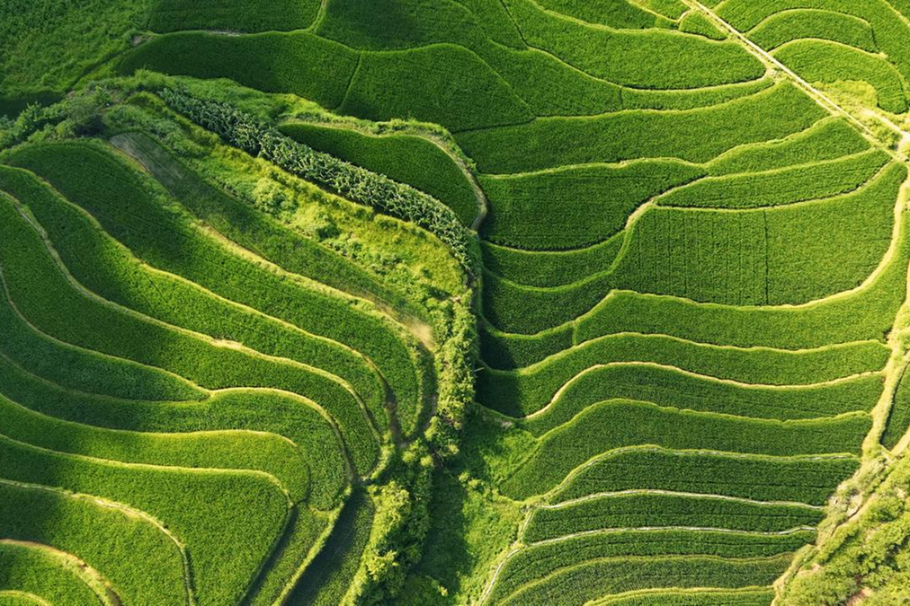 Yunnan's terraced rice fields burst with summer greenery in Guangnan