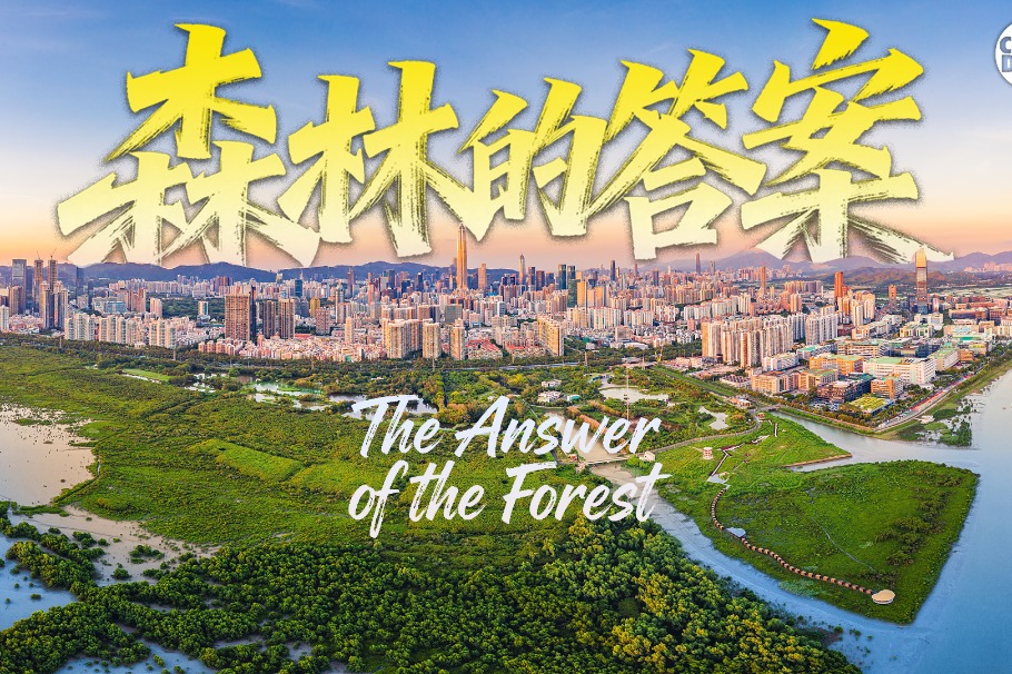 Global forest cover is shrinking — so why are China's forests growing?