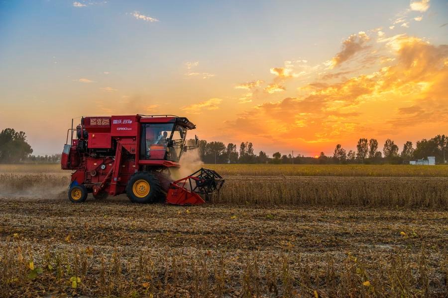 Soybean trade drives China-US farm ties