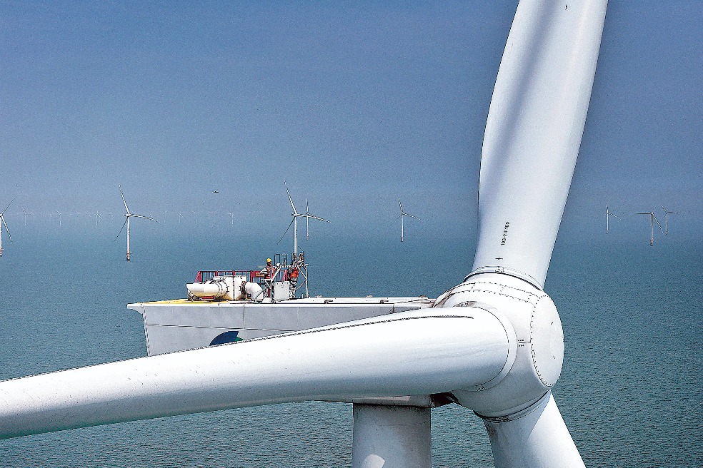 MNCs plug into China's green synergy