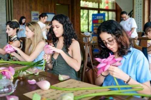 A Summer of Lotus, A Journey into Jiangnan Elegance
