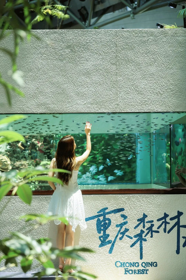重庆森林_副本.jpg