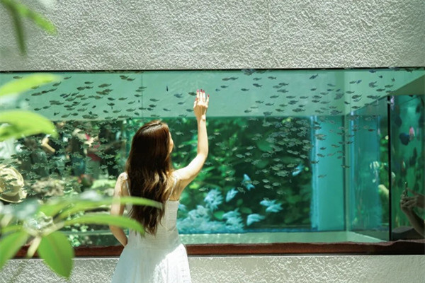Chongqing mall introduces rainforest experience