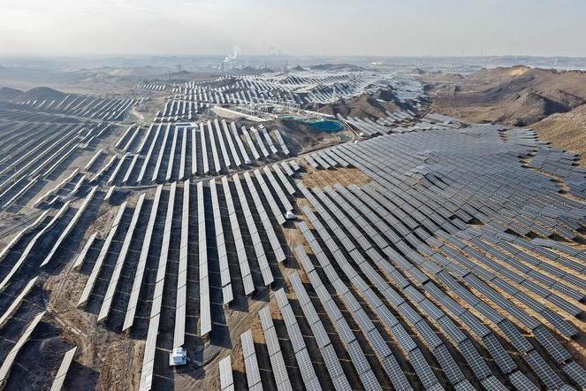 Sino-Egyptian clean energy ties blossom under BRI